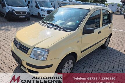 Fiat Panda Gebrauchtwagen