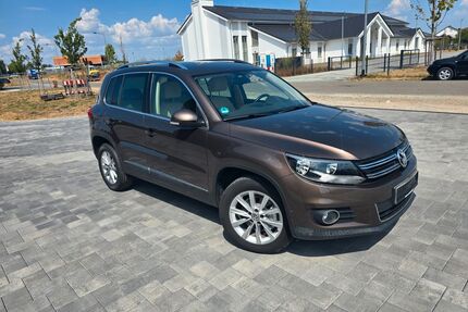 VW Tiguan Gebrauchtwagen