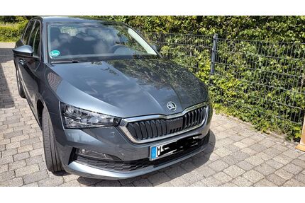 Skoda Scala Gebrauchtwagen