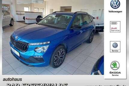Skoda Kamiq Gebrauchtwagen