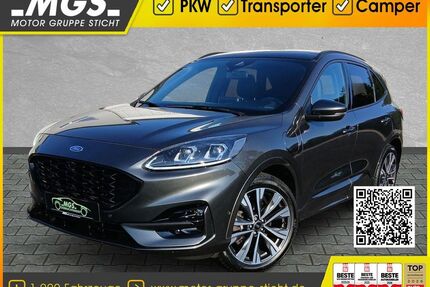 Ford Kuga Gebrauchtwagen