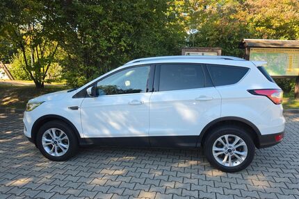 Ford Kuga Gebrauchtwagen