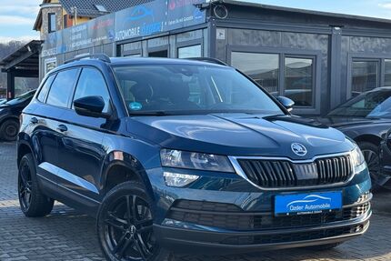 Skoda Karoq Gebrauchtwagen