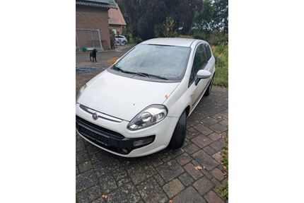Fiat Punto Gebrauchtwagen