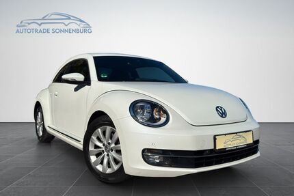 VW Beetle Gebrauchtwagen