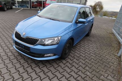 Skoda Fabia Gebrauchtwagen