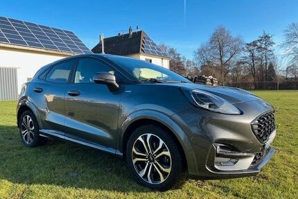 Ford Puma Gebrauchtwagen