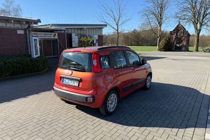 Fiat Panda Gebrauchtwagen