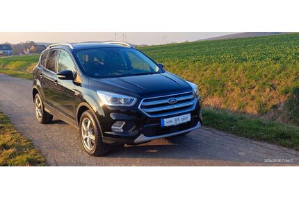 Ford Kuga Gebrauchtwagen
