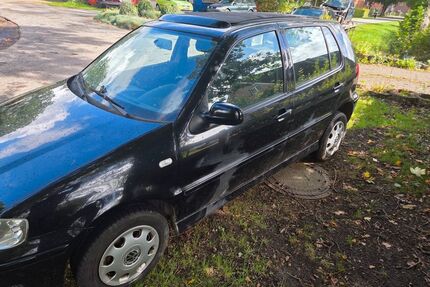 VW Polo Gebrauchtwagen