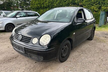 VW Polo Gebrauchtwagen