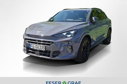 Cupra Terramar Gebrauchtwagen