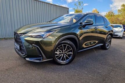 Lexus NX 450h Gebrauchtwagen