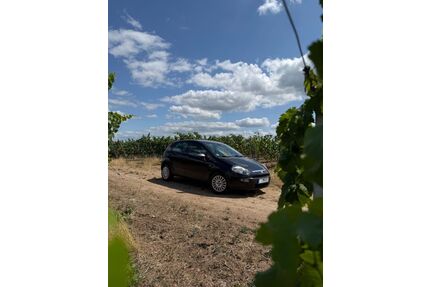 Fiat Punto Evo Gebrauchtwagen