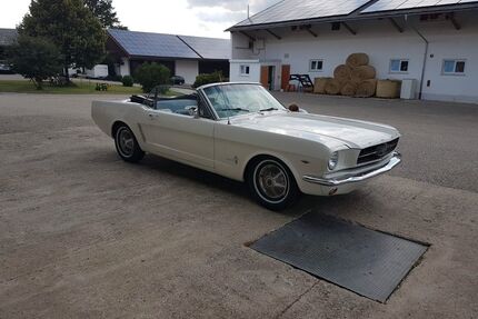 Ford Mustang Gebrauchtwagen