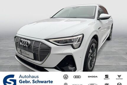 Audi e-tron Gebrauchtwagen
