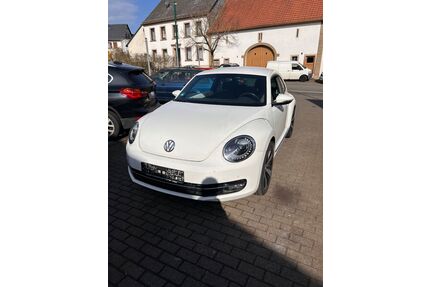 VW New Beetle Gebrauchtwagen