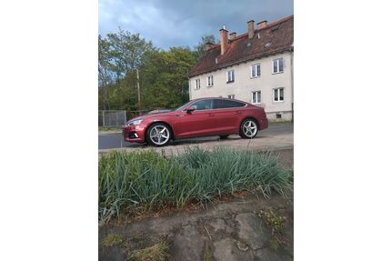Audi A5 Gebrauchtwagen