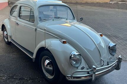 VW Käfer Gebrauchtwagen