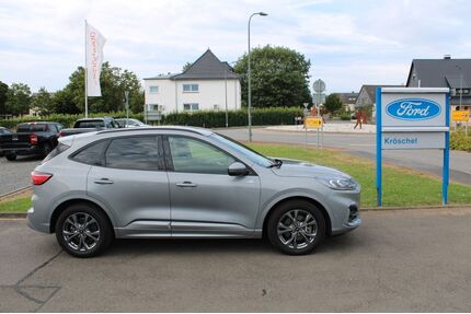Tesla Kuga 