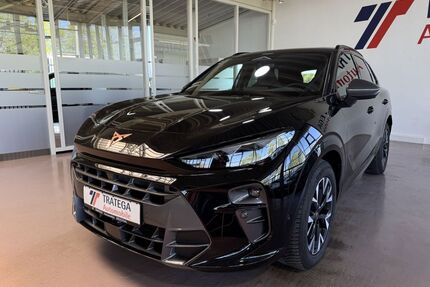 Cupra Terramar Gebrauchtwagen