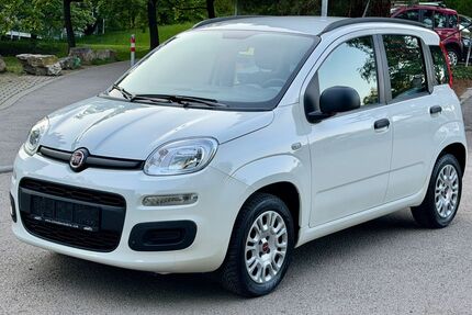 Fiat Panda Gebrauchtwagen