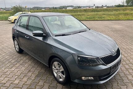 Skoda Fabia Gebrauchtwagen