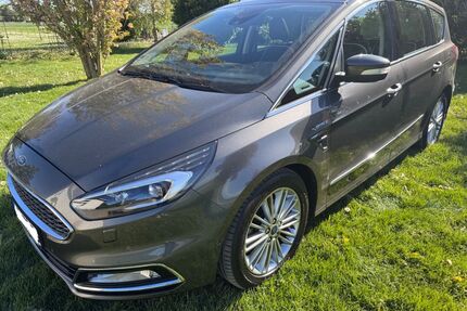 Ford S-Max Gebrauchtwagen