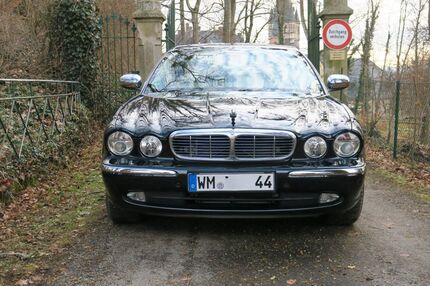 Jaguar XJ8 Gebrauchtwagen
