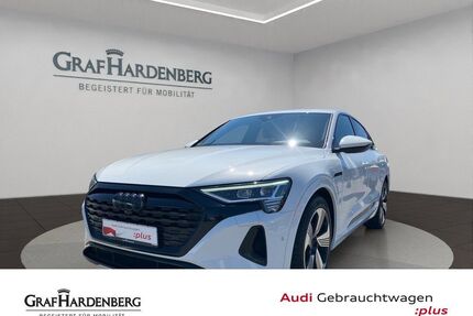 Audi Q8 e-tron Gebrauchtwagen