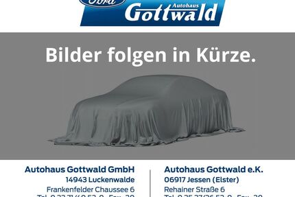 Ford Grand Tourneo Gebrauchtwagen