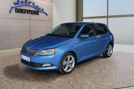 Skoda Fabia Gebrauchtwagen