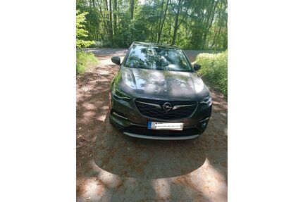 Opel Grandland (X) Gebrauchtwagen