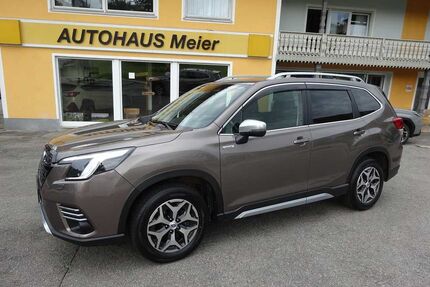 Subaru Forester Gebrauchtwagen