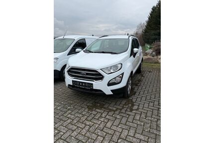 Ford EcoSport Gebrauchtwagen