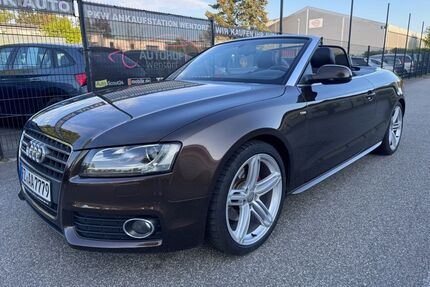 Audi A5 Gebrauchtwagen