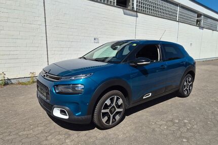 Citroen C4 Cactus Gebrauchtwagen