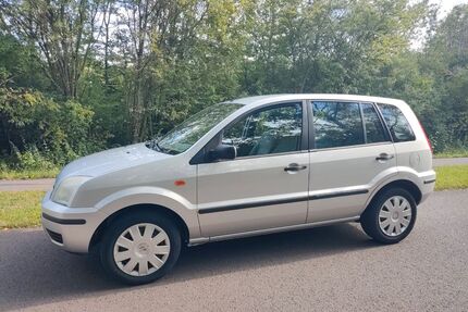 Ford Fusion Gebrauchtwagen