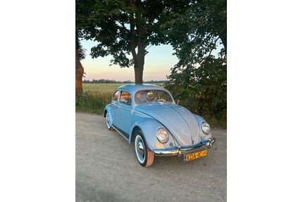 VW Beetle Oldtimer