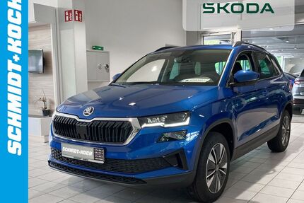 Skoda Karoq Gebrauchtwagen