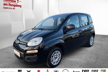 Fiat Panda Gebrauchtwagen