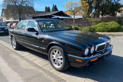 Jaguar XJ8 Gebrauchtwagen