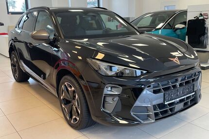 Cupra Terramar Gebrauchtwagen