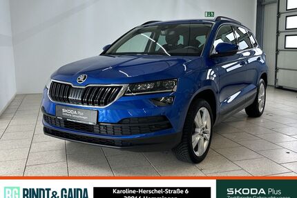 Skoda Karoq Gebrauchtwagen