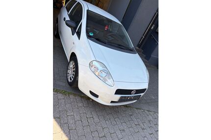 Fiat Punto Gebrauchtwagen