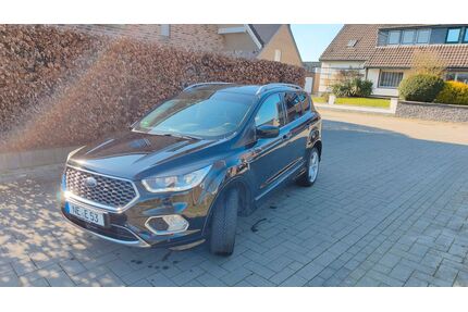 Ford Kuga Gebrauchtwagen