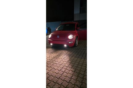 VW Beetle Gebrauchtwagen