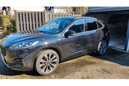 Ford Kuga Gebrauchtwagen