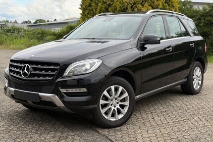 Mercedes-Benz ML 250 Gebrauchtwagen