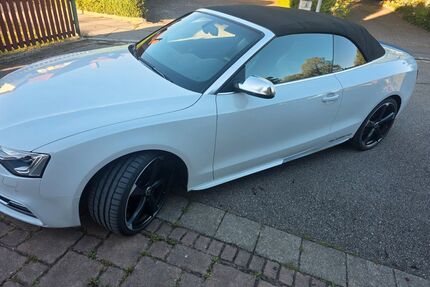 Audi S5 Gebrauchtwagen